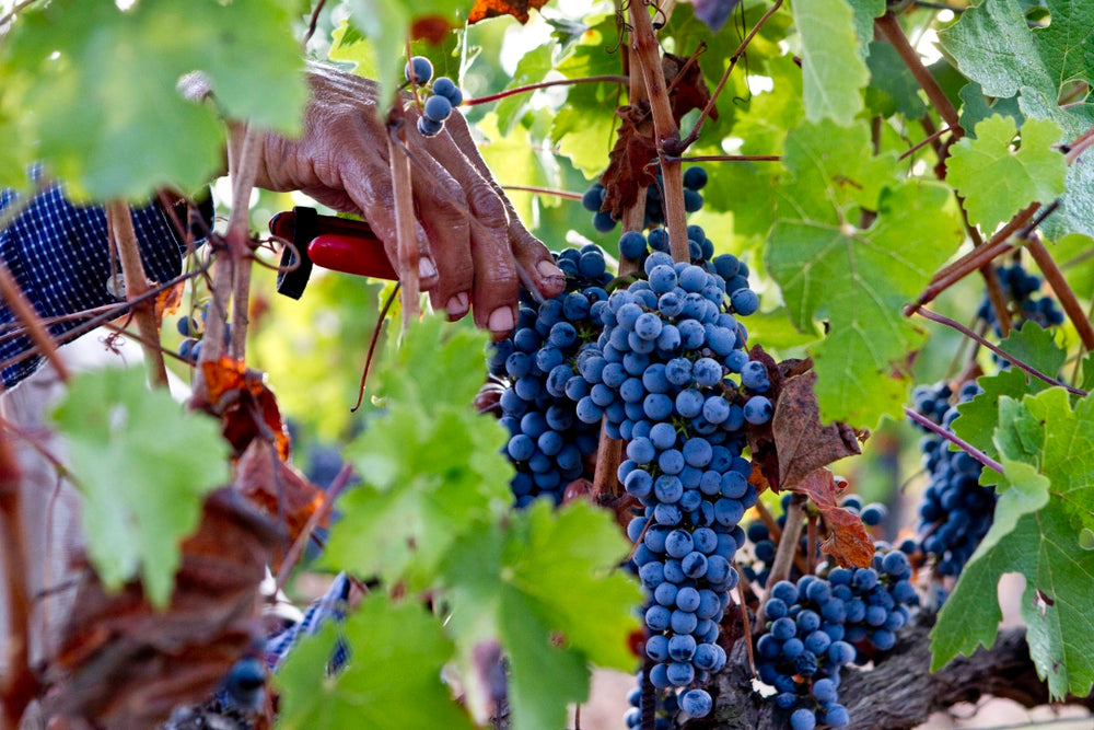 Creating <em>something lasting</em>