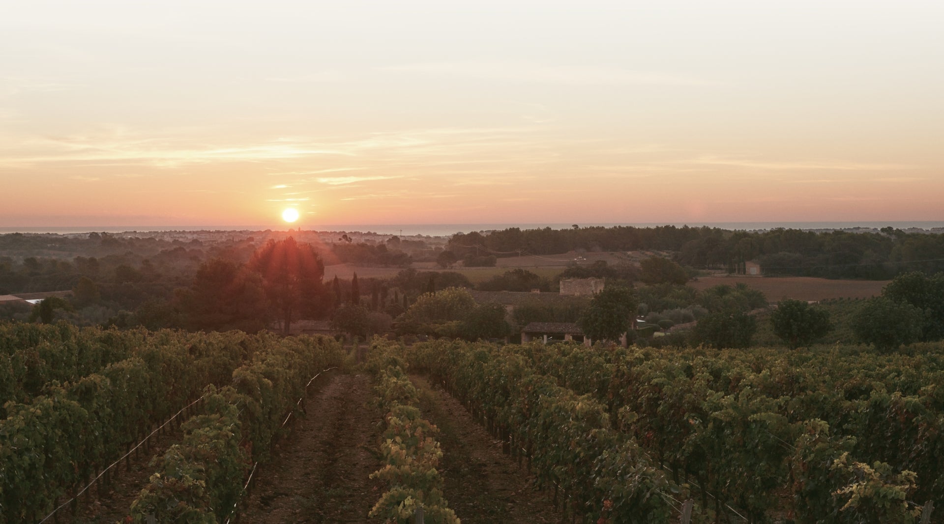 Das Gelände im Überblick
