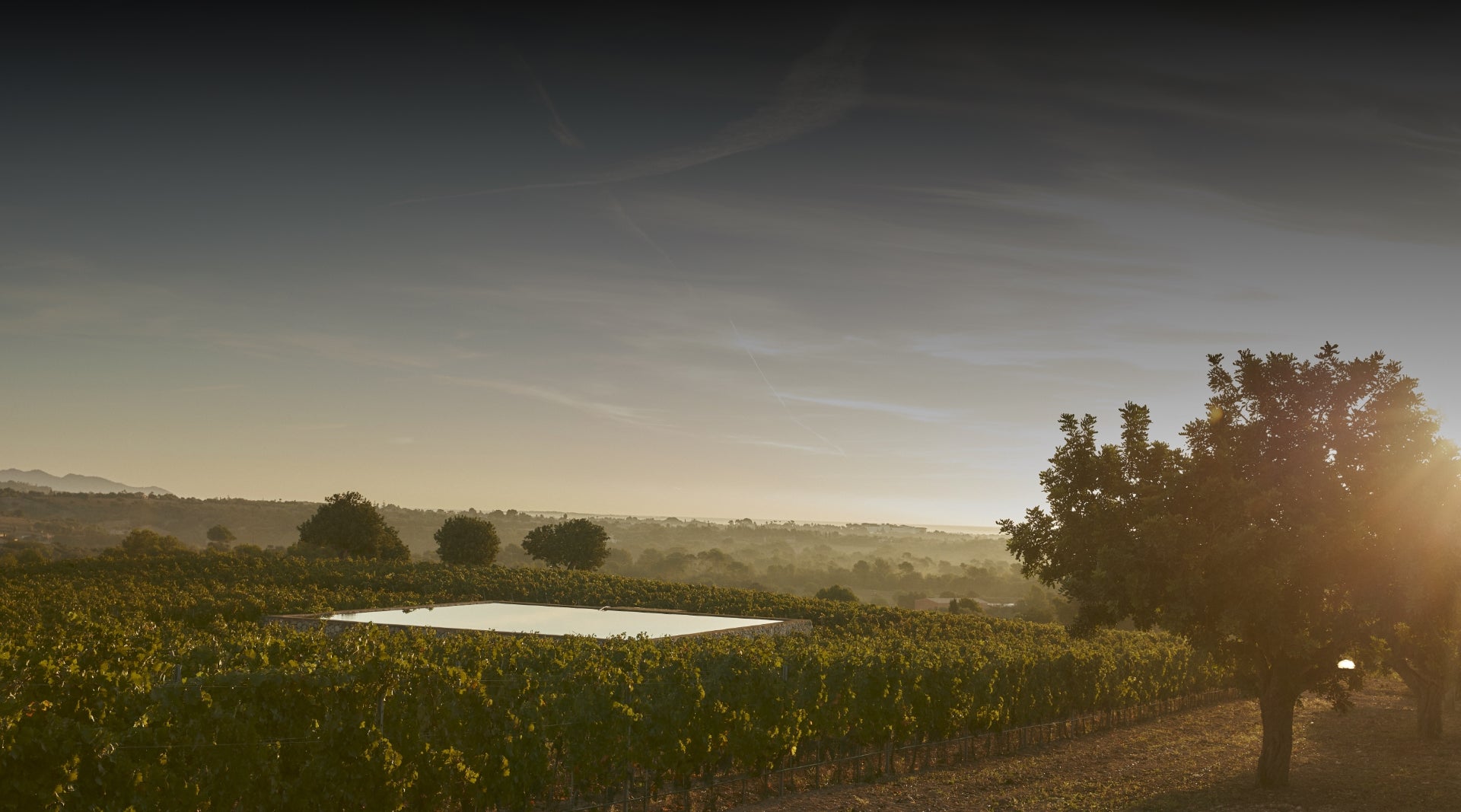 Im Einklang mit der Natur - unser Terroir