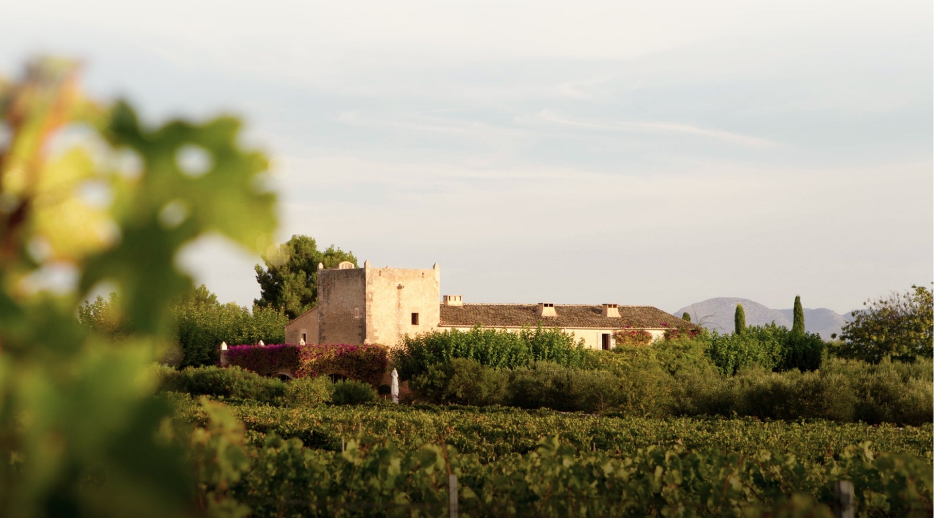 Die Finca mit Umgebung